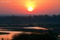 051_Biebrza - kwiecien 2012